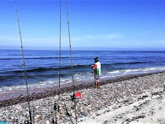 Buscan atraer visitantes con torneos de pesca en San Ignacio Sinaloa 2022