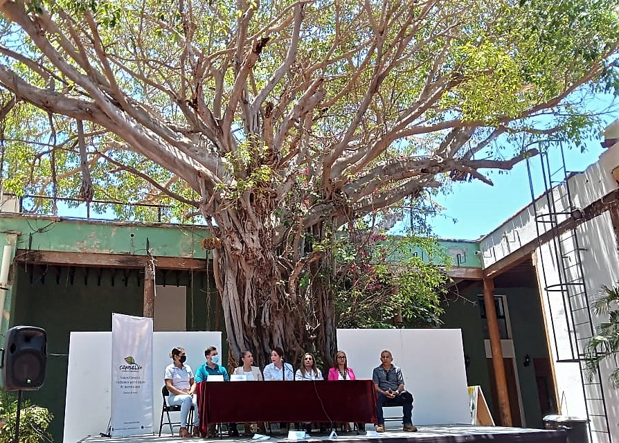 Celebrarán 50 años del Día Mundial del Medio Ambiente con evento en Parque Central de Mazatlán 2022 3