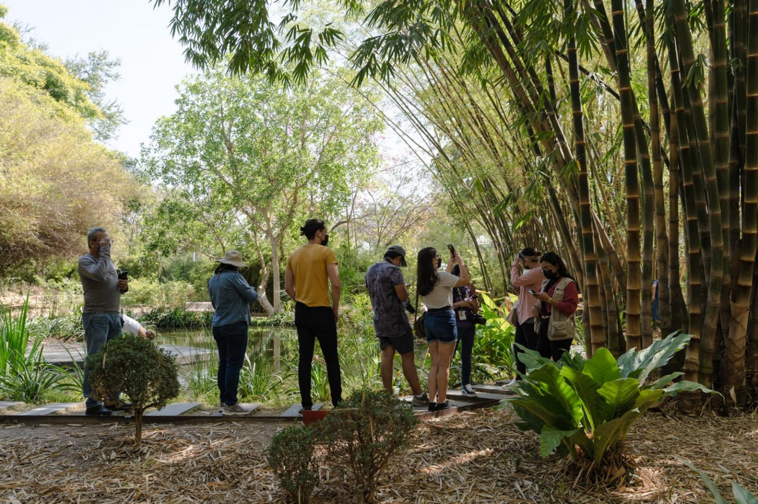 Obtiene Culiacán el tercer lugar nacional en el City Nature Challenge 2022