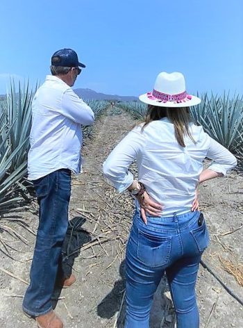 Producción de agave será un atractivo turístico en El Tecomate de Siqueros 2022 2