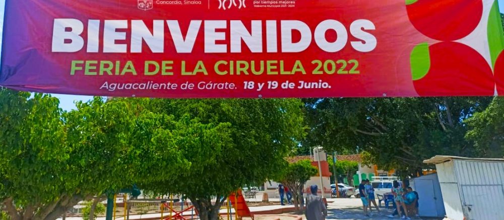 Con gran éxito se celebró la tercera Feria de la Ciruela de Agua Caliente de Gárate 2022 a