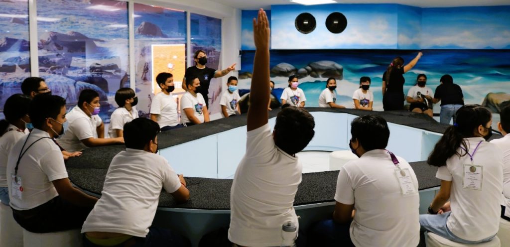 En Mazatlán Ahora Grupos Escolares Conviven con los Pingüinos 2022 a a