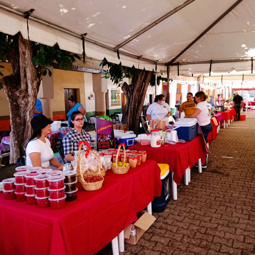 Tercer Feria de la Ciruela de Agua Caliente de Gárate Zona Trópico, Sinaloa México 2022 (25) a