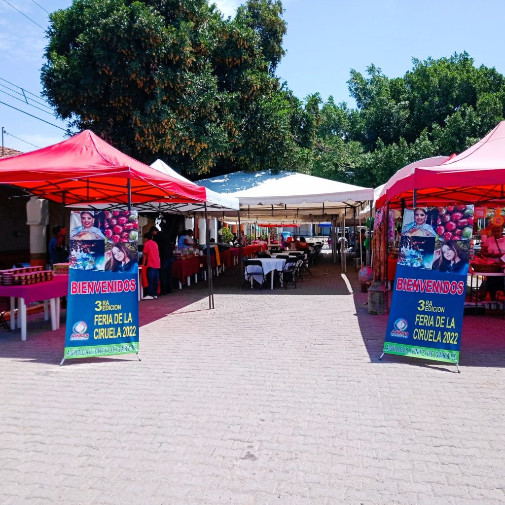 Tercer Feria de la Ciruela de Agua Caliente de Gárate Zona Trópico, Sinaloa México 2022 (26) a