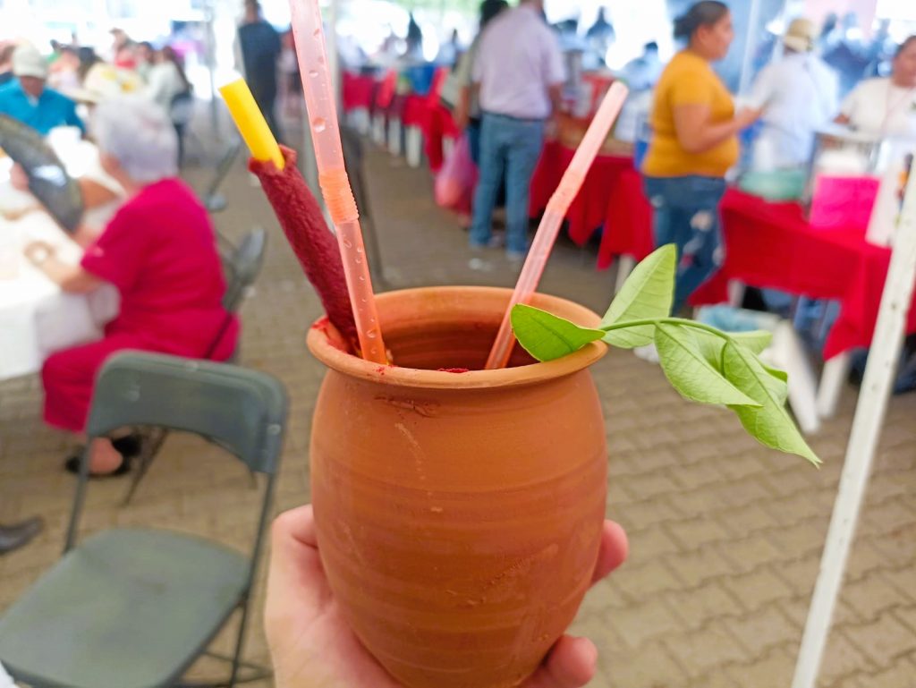 Tercer Feria de la Ciruela de Agua Caliente de Gárate Zona Trópico, Sinaloa México 2022 (4) a