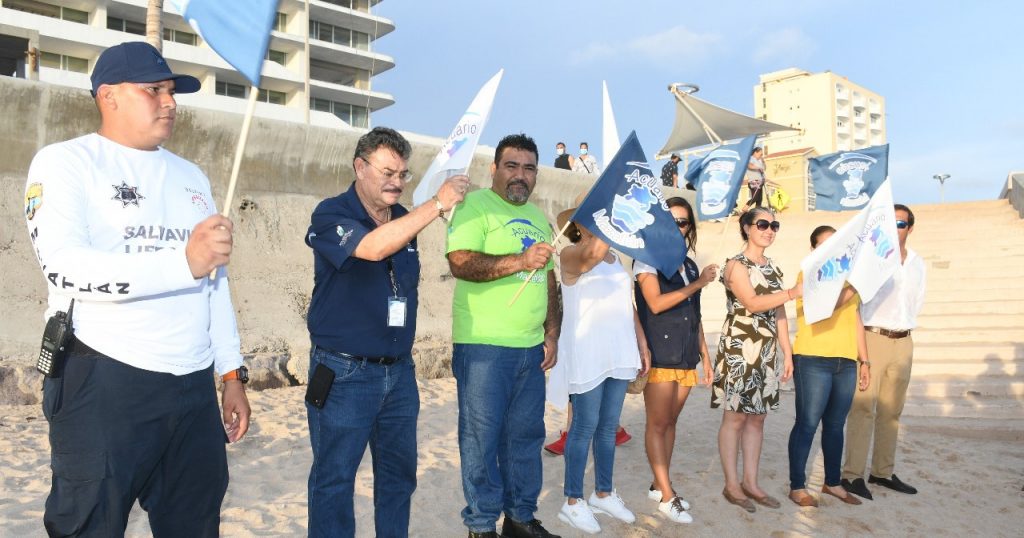 Inicia temporada de anidación de tortugas marinas en Mazatlán 2022 a