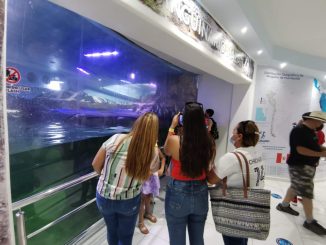 Amplía Acuario Mazatlán el horario extendido 2022