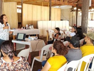 Capacita Sectur a prestadores de servicios turísticos de Playa Las Glorias y Boca del Río 2022