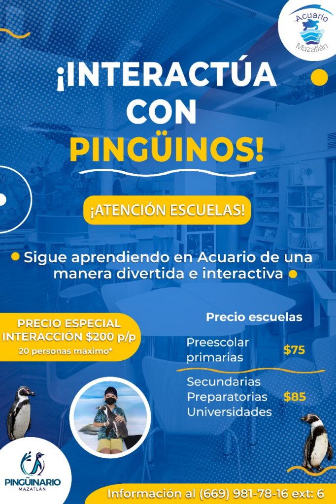 Socializa Acuario Mazatlán atención a escolares 2022 2
