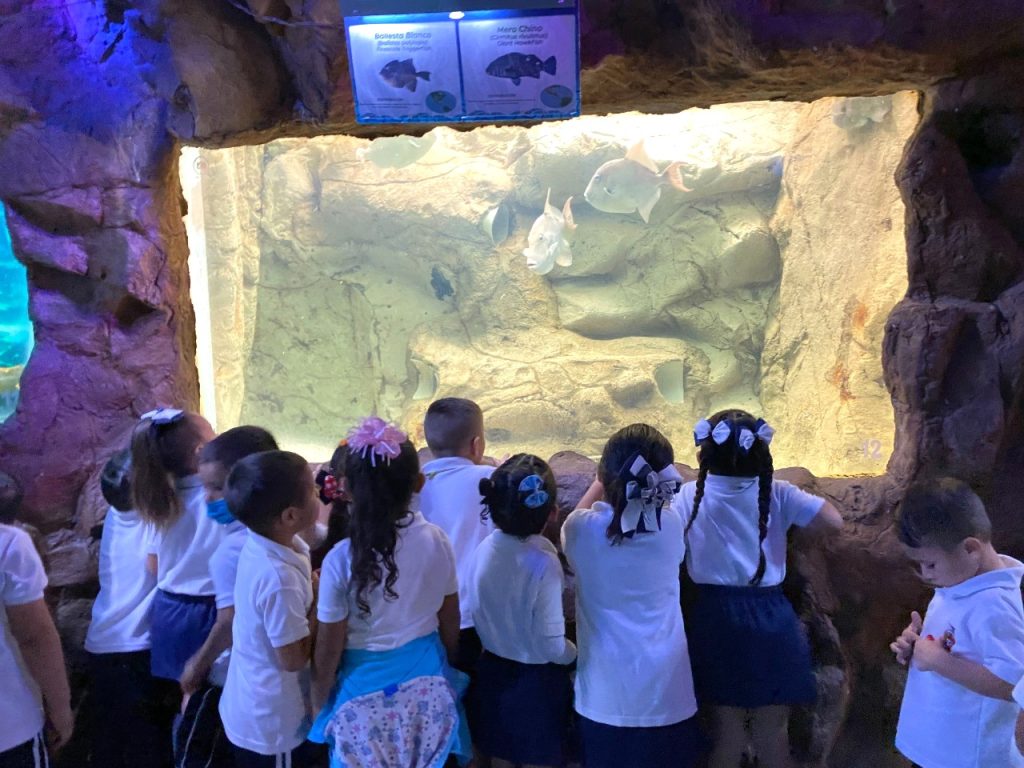 Acuario Mazatlán se engalana con la visita de niños y niñas de pre-escolar 2022 1
