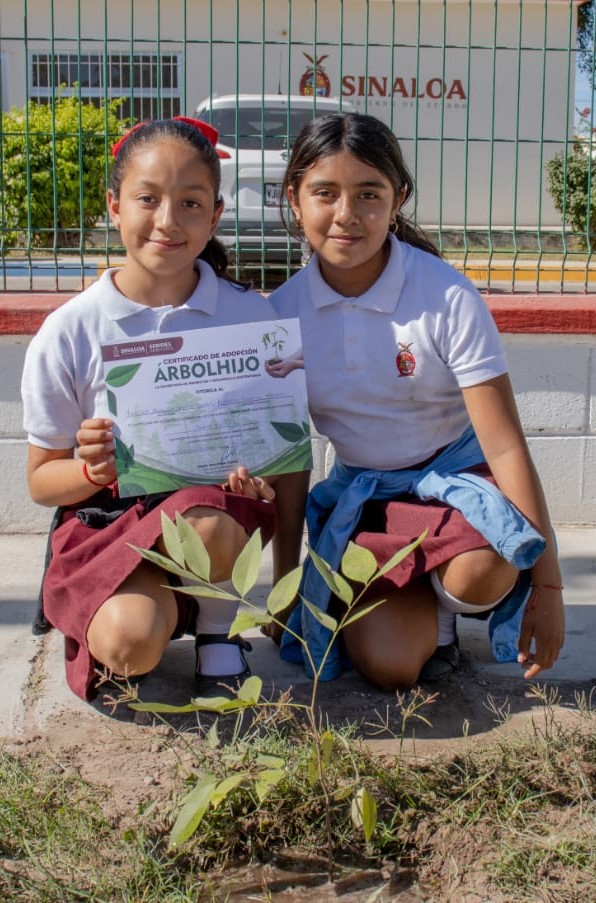Dan 'banderazo' de inicio de arborización en Teacapán en circuito de Coloreando Sinaloa 2022 1