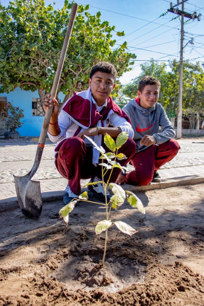 Dan 'banderazo' de inicio de arborización en Teacapán en circuito de Coloreando Sinaloa 2022 4