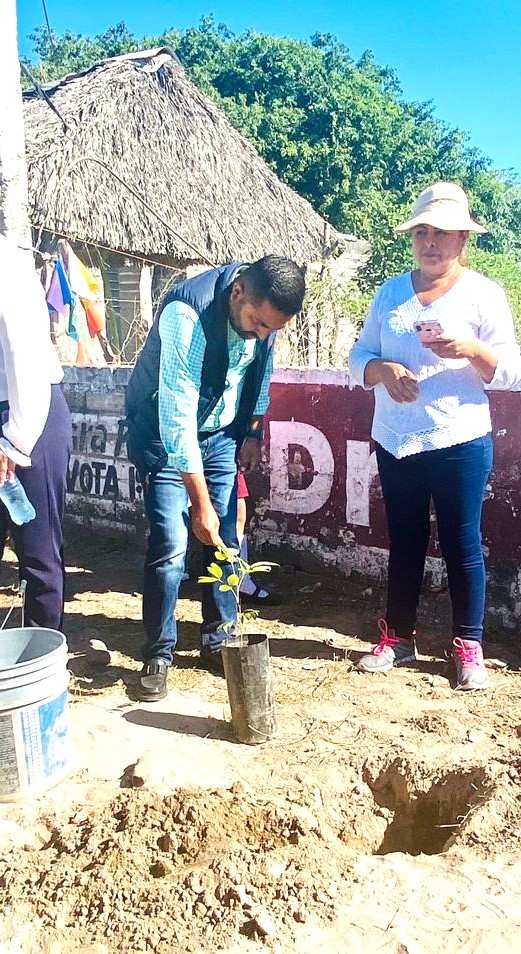 Dan 'banderazo' de inicio de arborización en Teacapán en circuito de Coloreando Sinaloa 2022 5