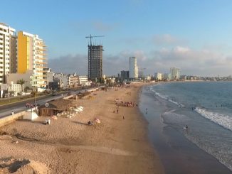 El Hermoso Paisajismo de Mazatlán y las Amenazas que lo Afectan en Av. del Mar de Mazatlán 2022 1
