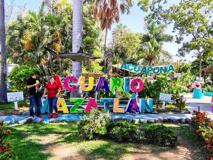 En Acuario Mazatlán se supera la expectativa de visitantes durante las vacaciones decembrinas 2022 1