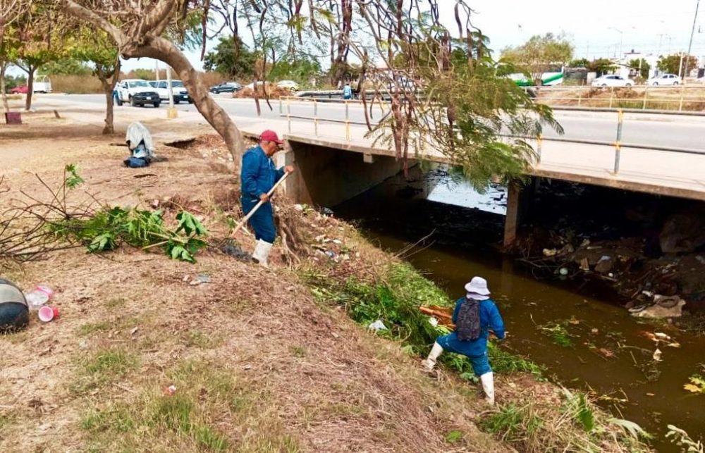 Activa Municipio el programa preventivo de limpieza de canales en Mazatlán para prevenir inundaciones en temporada de lluvias 2023 1