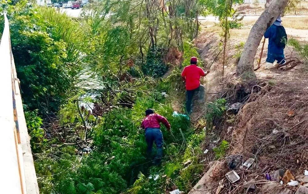 Activa Municipio el programa preventivo de limpieza de canales en Mazatlán para prevenir inundaciones en temporada de lluvias 2023 2
