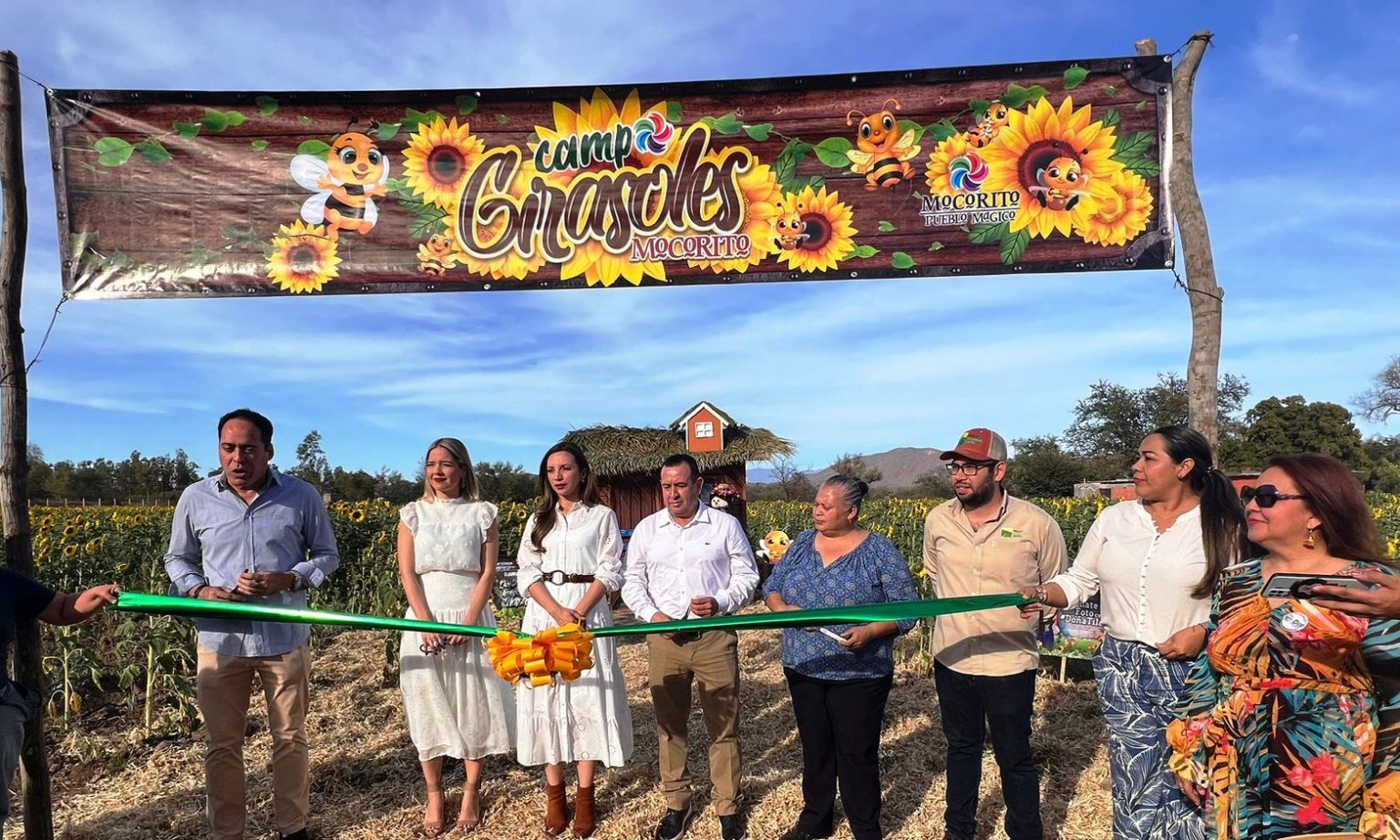 Inicia Temporada de Girasoles 2023 en Mocorito Pueblo Mágico