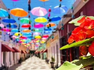 Coloreando Sinaloa Pintando de Colores Comunidades Pueblos Mágicos Señoriales 2023