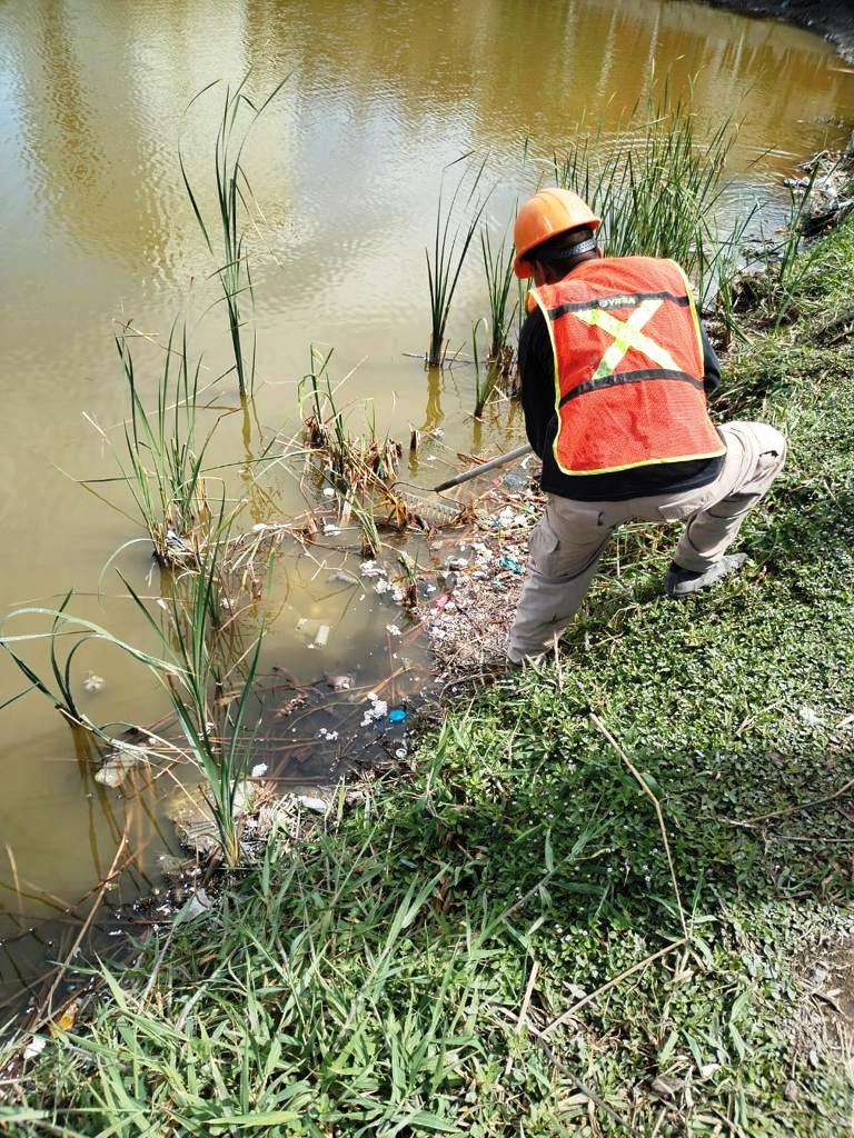Ecología invita a constructoras a limpiar la Laguna del Camarón 2023