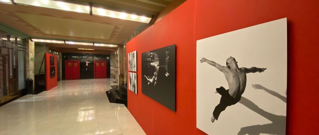 Movimiento Perpetuo Expo Fotográfica Homenaje Trayectoria 30 Años Delfos Danza Contempoánea Martin Gavíca Bellas Artes 2023 (17)