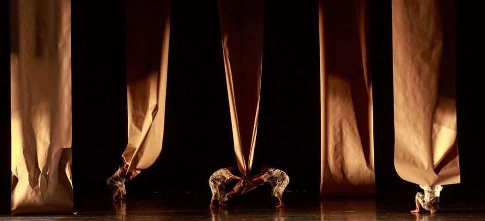 Movimiento Perpetuo Expo Fotográfica Homenaje Trayectoria 30 Años Delfos Danza Contempoánea Martin Gavíca Bellas Artes 2023 (3)