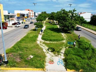 Servicios públicos realiza intensa jornada de embellecimiento y limpieza Avenidas principales de Mazatlán 2023
