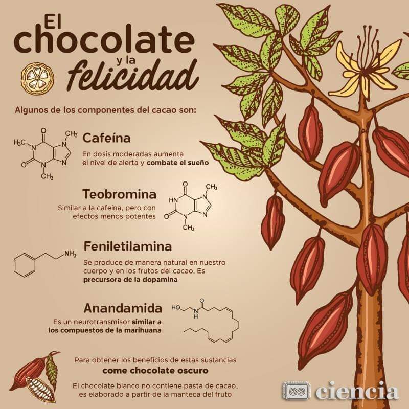 Día Internacional del Chocolate 2023 4