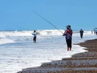 Un éxito 1er Torneo de Pesca de Orilla Boca de Ceuta en Elota 2023