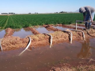 Desarrolla Agricultura plataforma digital que contribuye al ahorro de agua en cultivos de riego 2023