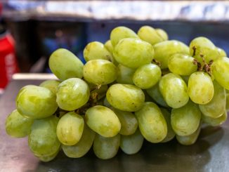 Garantiza Agricultura abasto de uva para festejos de Año Nuevo 2023