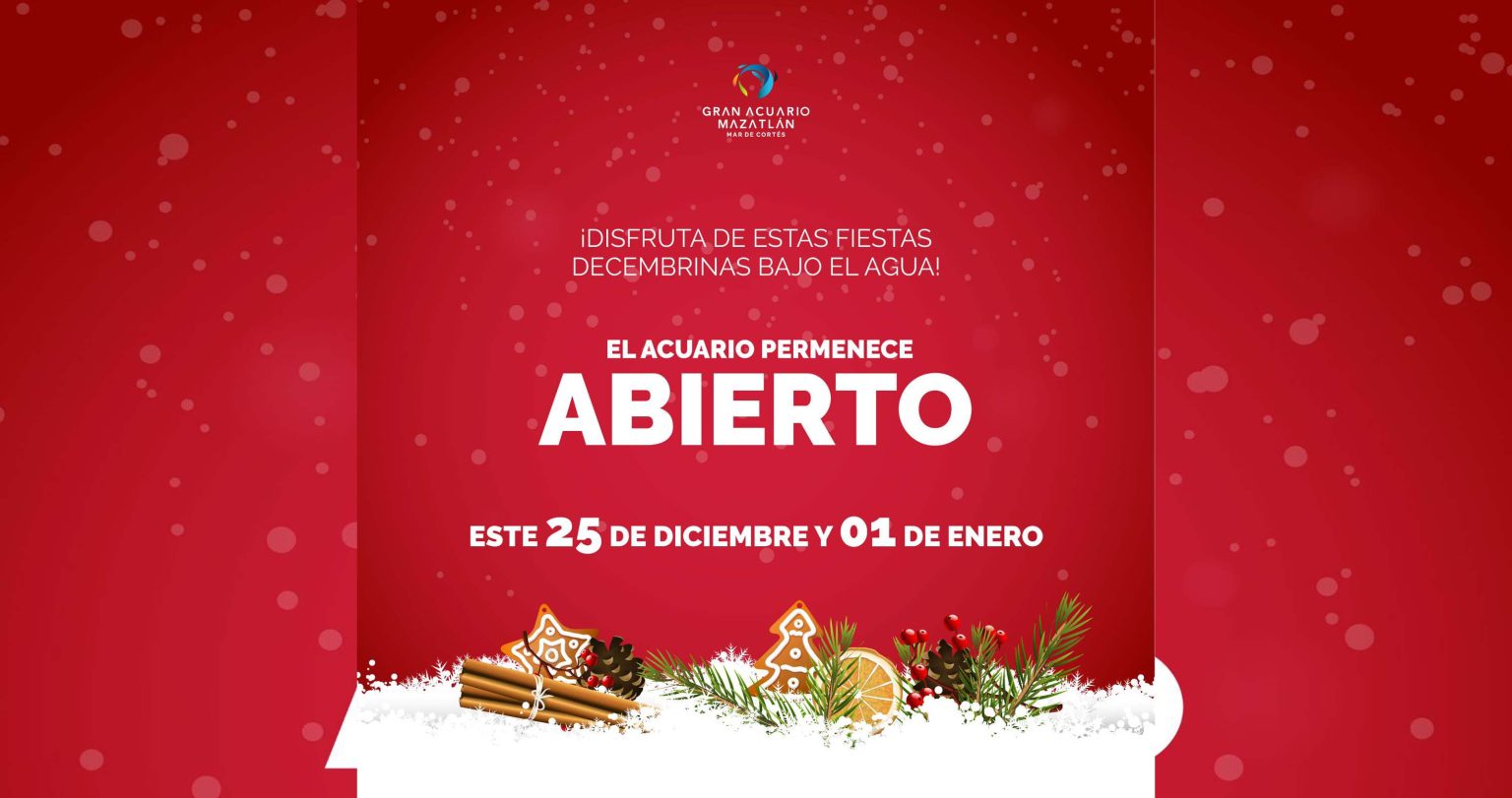 Vive las Fiestas decembrinas en el GAM