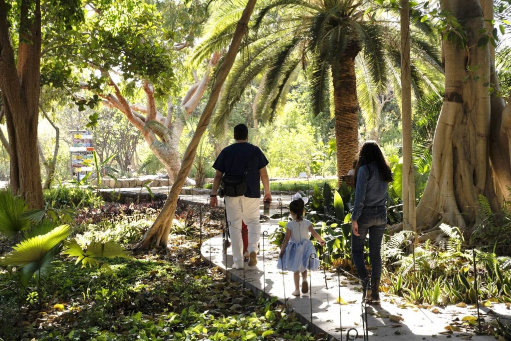 Casi mil personas disfrutaron de un día totalmente gratuito en el pulmón verde de la capital sinaloense 2024