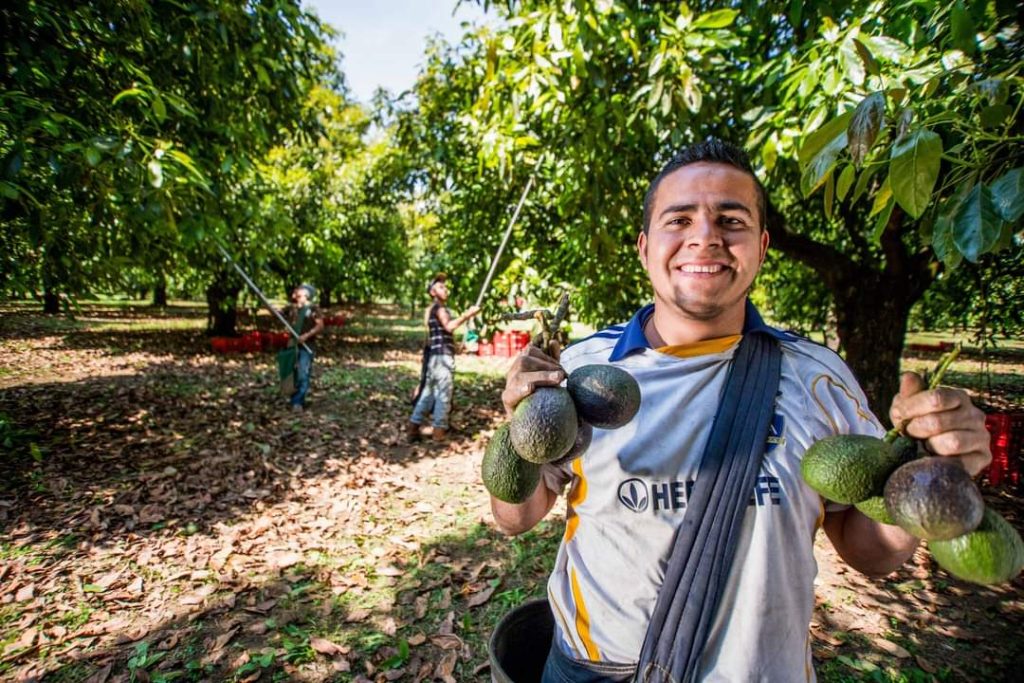 Busca México ampliar exportaciones agroalimentarias a mercados con población de mayoría musulmana