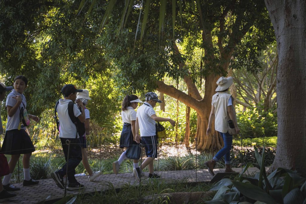 Invitan a donar para promover la educación ambiental a través del Viaje Botánico