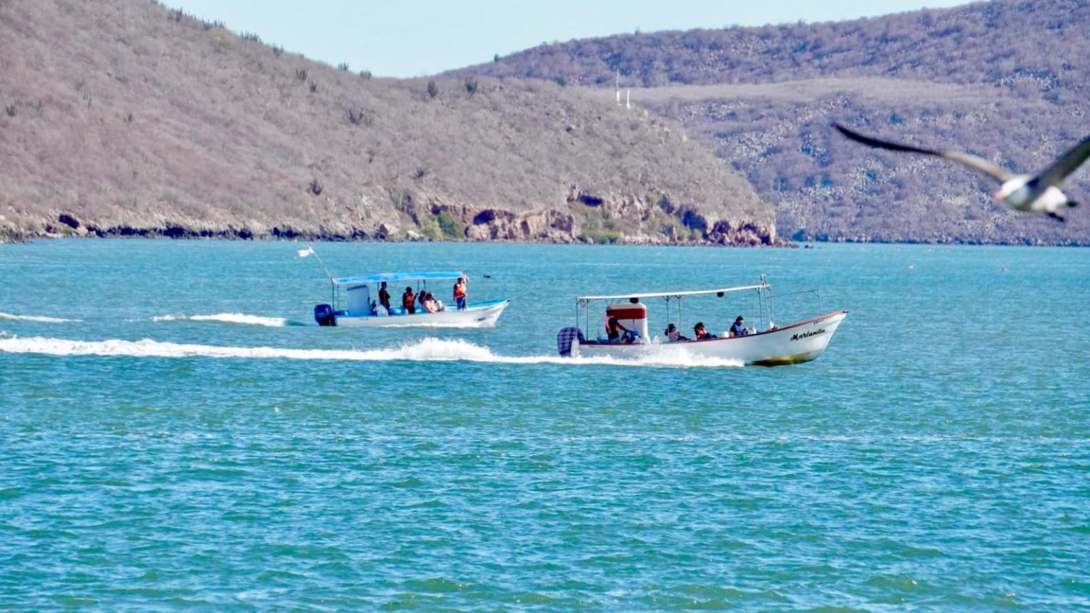 Semarnat fortalece protección ambiental de la Bahía de Ohuira mediante vigilancia permanente y medidas obligatorias en planta de amoníaco