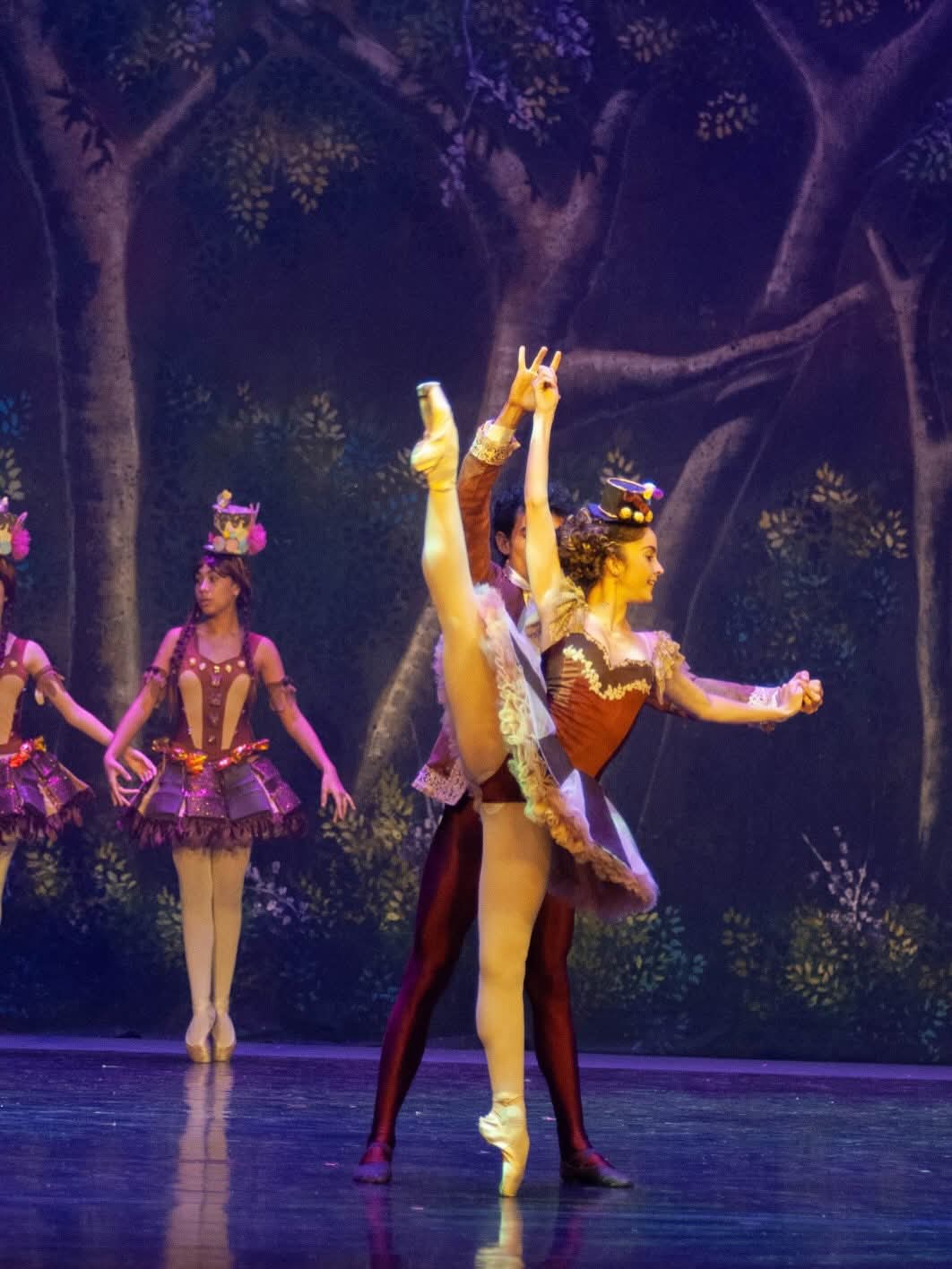 “Hänsel y Gretel” en el Teatro Ángela Peralta de Mazatlán una fantasía danzada por nuevas generaciones 2025 (17)