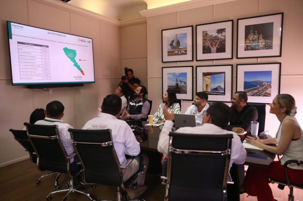 Se reúne Estrella Palacios con directivos de CFE para gestionar un mejor suministro de energía eléctrica (7)