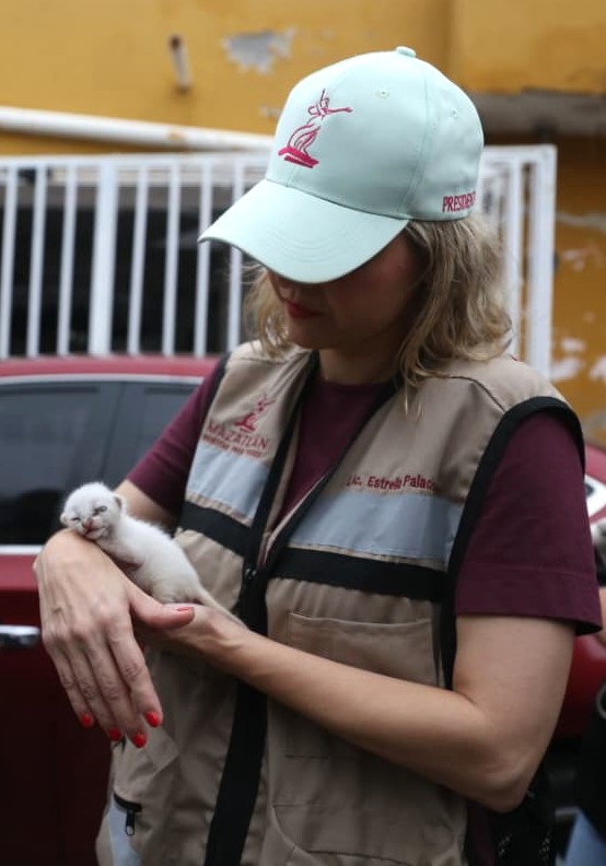 Con ‘Mazatlán te quiero limpio’, hemos retirado 475 metros cúbicos de basura Estrella Palacios 2025 1