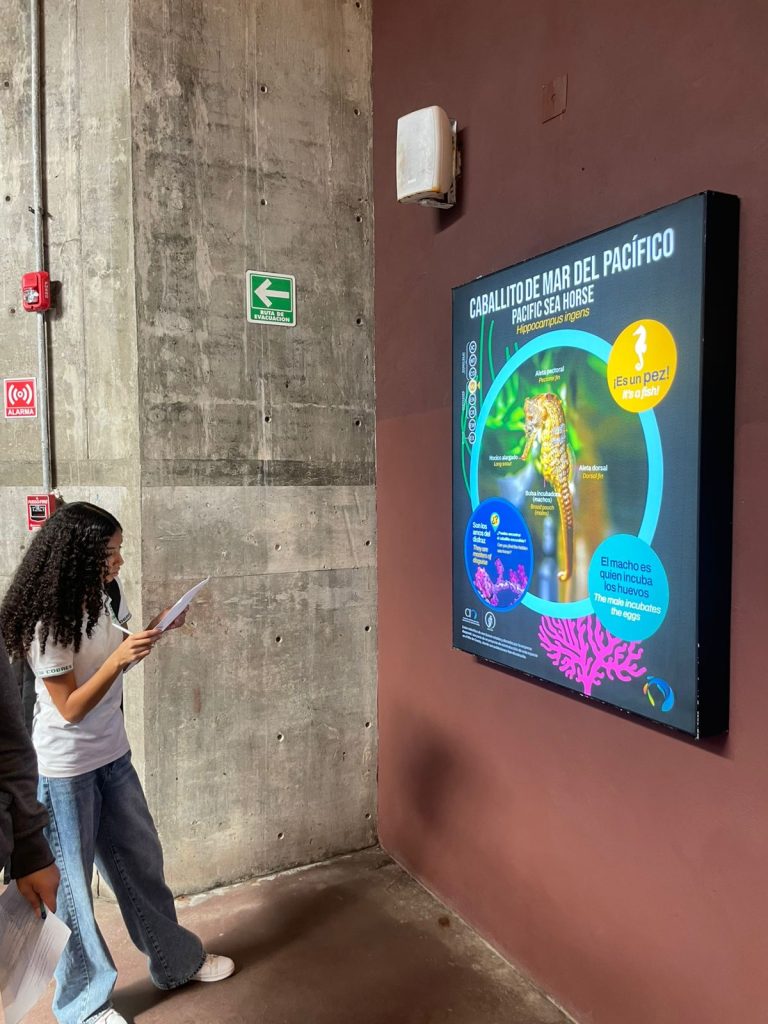 El Gran Acuario Mazatlán Un Aula Viva para el Aprendizaje (5)