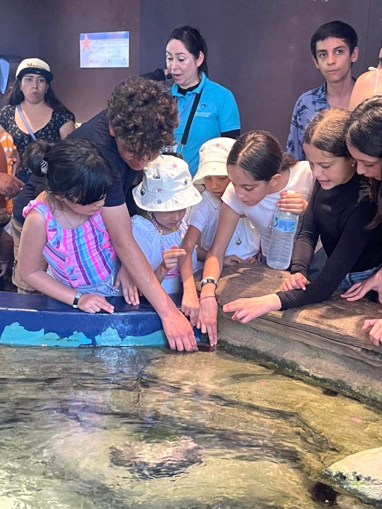 Gran Acuario Mazatlán, donde cada visita es una oportunidad para transformar vidas 2025 2