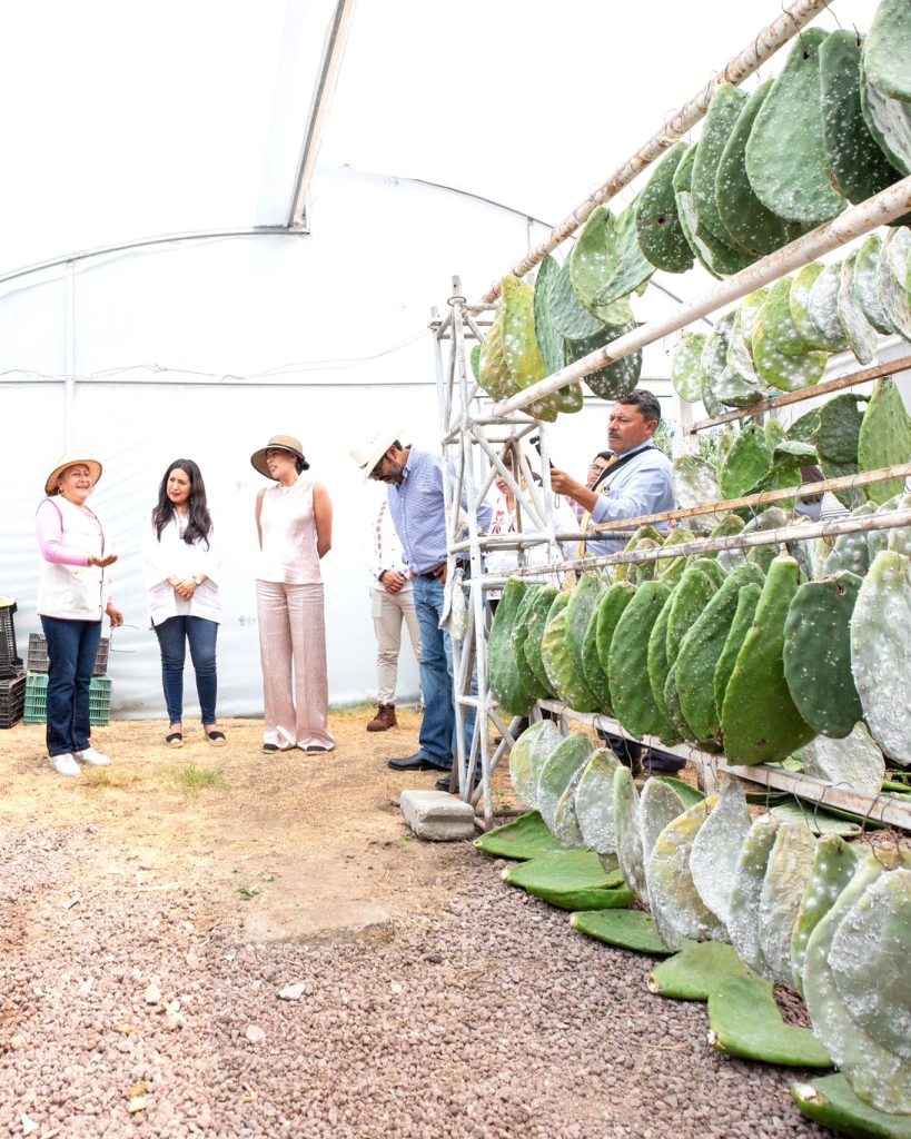 Josefina Rodríguez realiza gira de trabajo por la Ruta de los Dioses para reforzar el compromiso de México como destino global 2025 1