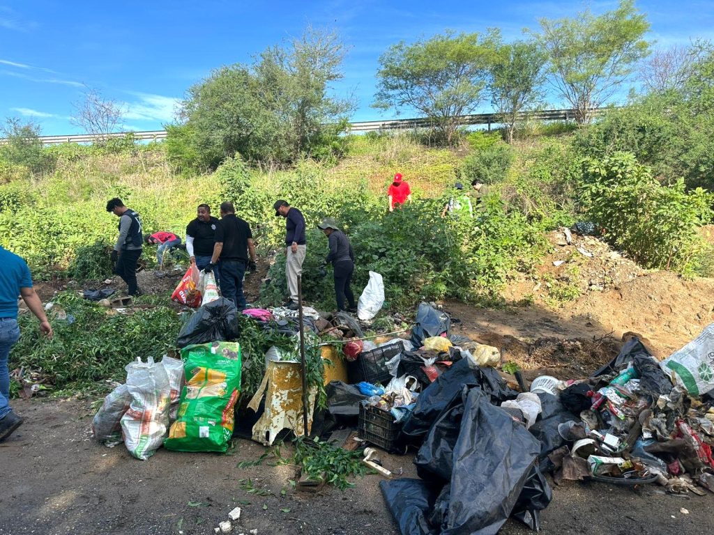 Se recolectan 72 metros cúbicos de basura mediante el programa ‘Mazatlán te quiero limpio’ 2025 2