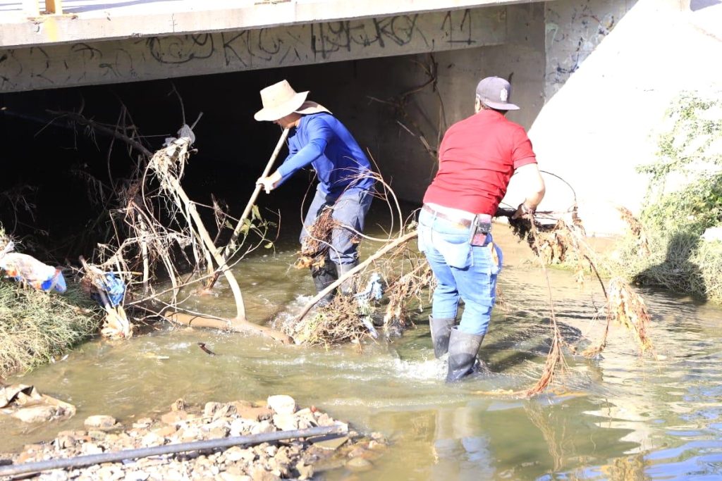 Se recolectan 72 metros cúbicos de basura mediante el programa ‘Mazatlán te quiero limpio’ 2025 3