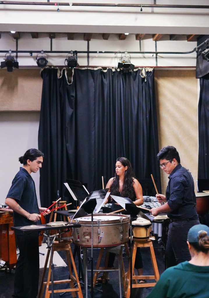 Ensamble de Percusiones de CULTURA, juventud Mazatleca que sueña en grande (6)