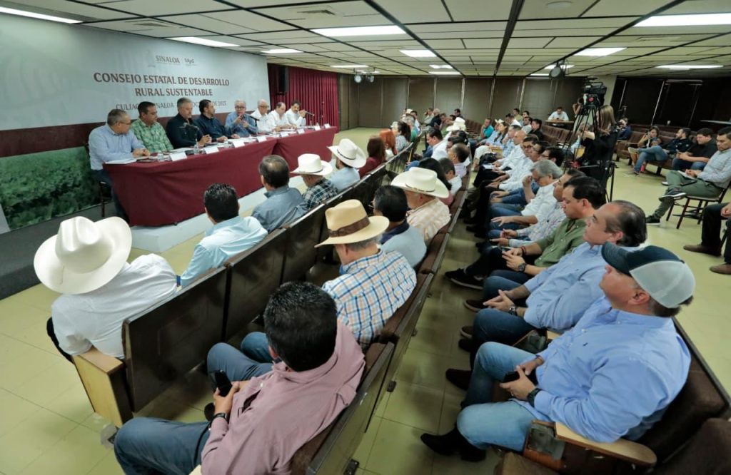 Aprueban autoridades y productores superficie de siembra para ciclo agrícola en Sinaloa (3)