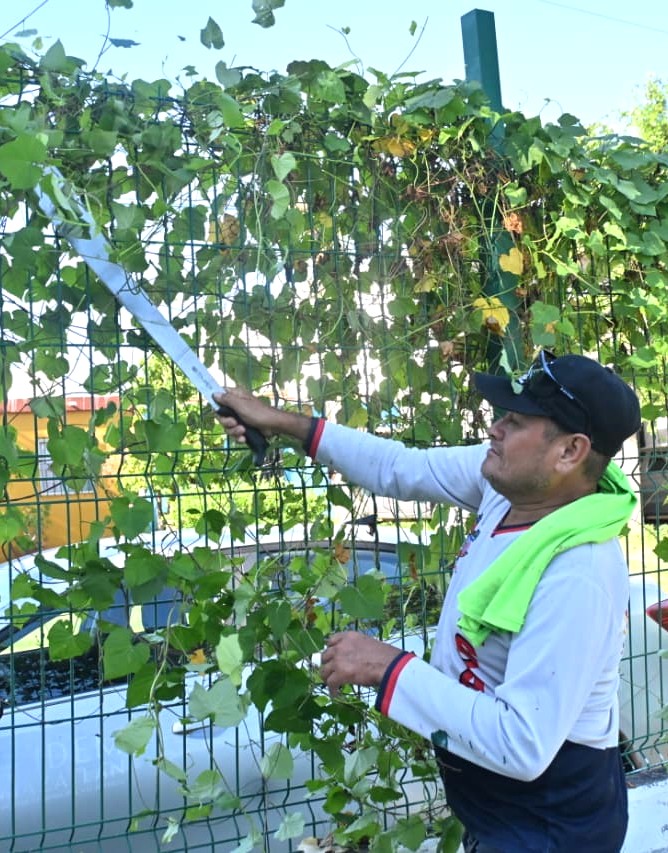 Con cifra récord, se recolectan 4,800 costales de basura durante la jornada “Mazatlán te Quiero Limpio” 2025 1