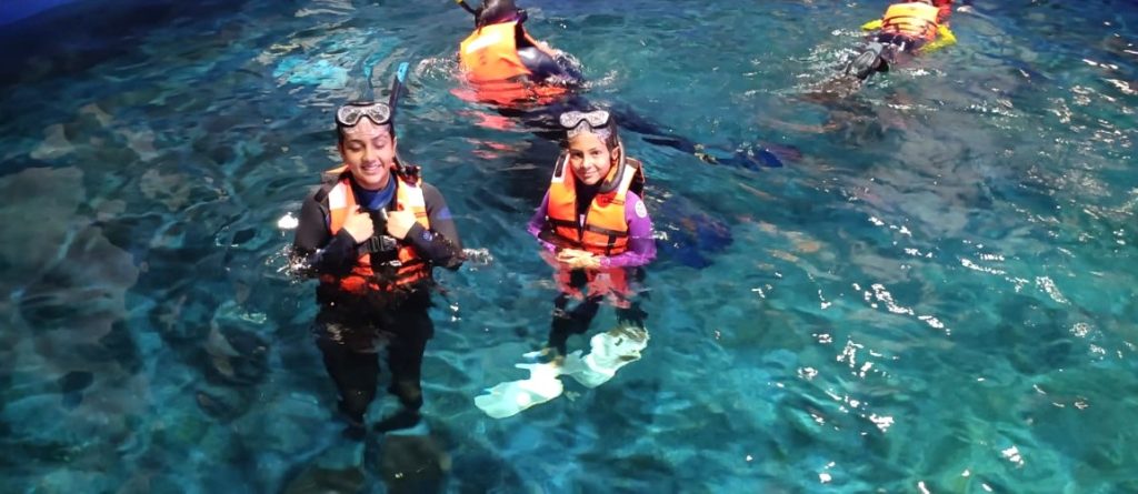 Surfistas Sinaloenses Viven una Experiencia Inolvidable en el Gran Acuario Mazatlán Surfistas Sinaloenses Viven una Experiencia Inolvidable en el Gran Acuario Mazatlán 2025