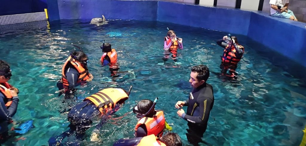 Surfistas Sinaloenses Viven una Experiencia Inolvidable en el Gran Acuario Mazatlán 2025 b