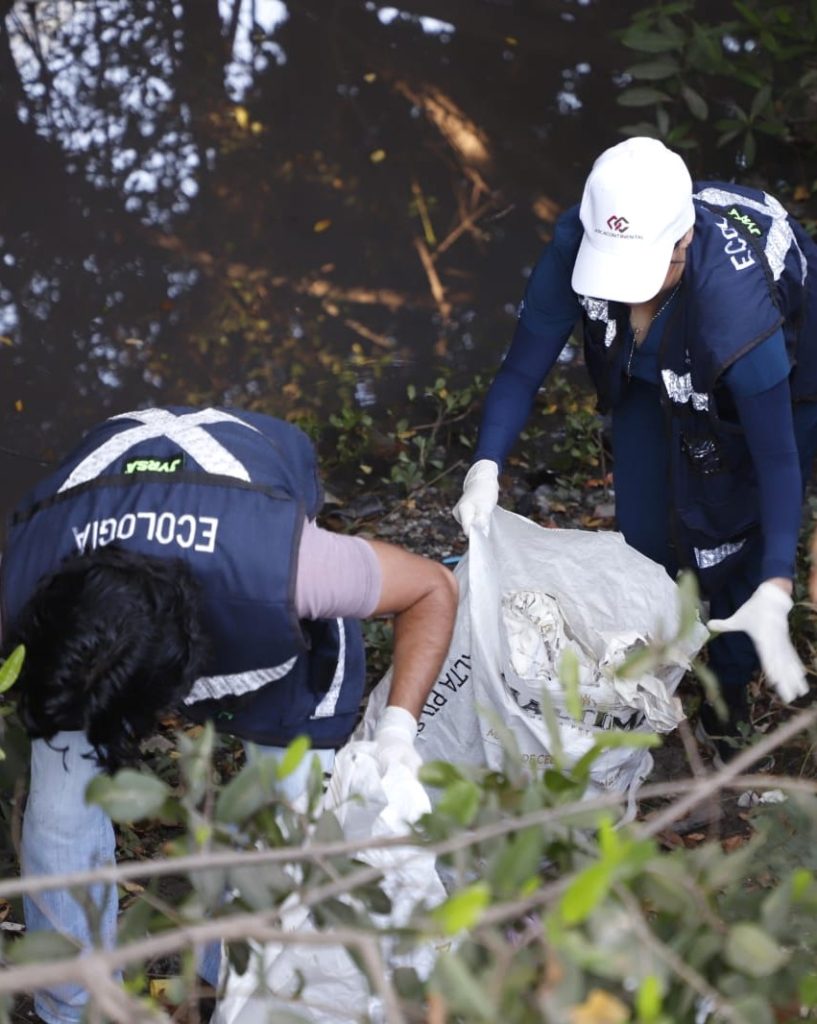 Gracias al programa “Mazatlán te Quiero Limpio”, se extraen 169 metros cúbicos de desechos de áreas públicas 2025 1
